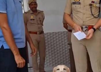 संभल जिले में पुलिस के डॉग स्क्वॉड की सदस्य मैरी ने एक ब्लाइंड रेप केस सुलझाने में अहम भूमिका निभाई