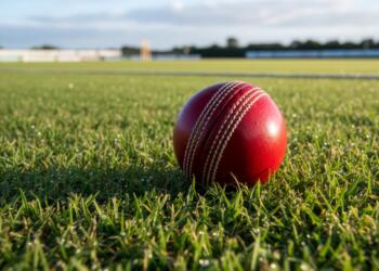 Why Sports Betting Exploded Among Cricket Fans in India
