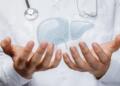 Liver Support vs Metabolic Support: Which Supplement Fits Which Goal?