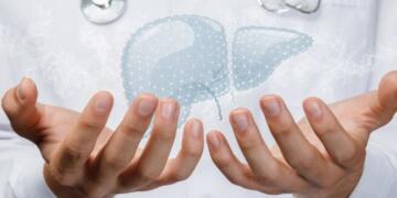 Liver Support vs Metabolic Support: Which Supplement Fits Which Goal?